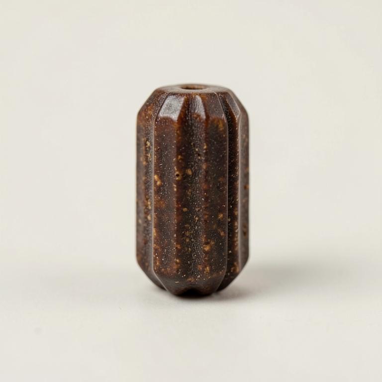 5 Mukhi Rudraksha — product photograph